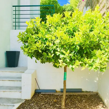 Magnifique Appart Pour 4 Dans La Verte Victoria Park Jardin Parking 아파트 *